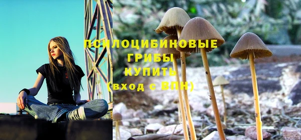прущие крисы Богородск