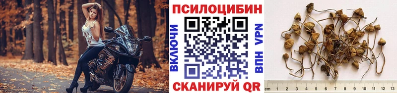 Галлюциногенные грибы мицелий  Дубовка 